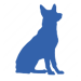 information_image